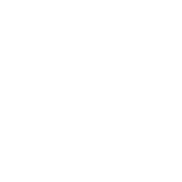 hair_icon